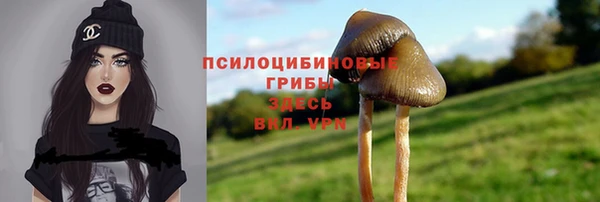 индика Лагань