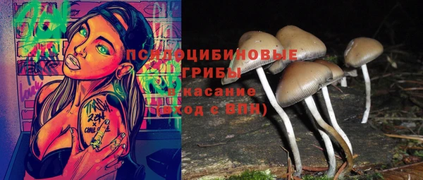 каннабис Ладушкин