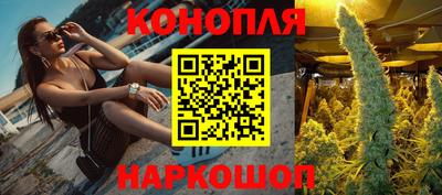 сатива Волжский