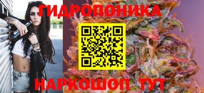 ешки Волжск