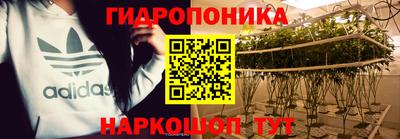 гашик Волгодонск