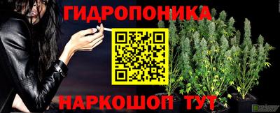ешки Волжск