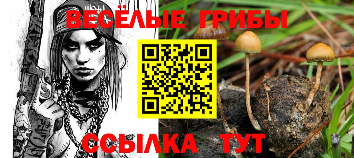 Псилоцибиновые грибы MAGIC MUSHROOMS Подольск